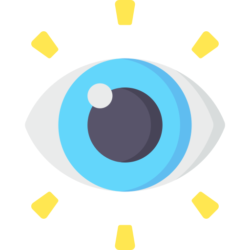 Vision Icon